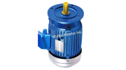Double Speed Aerator Motor