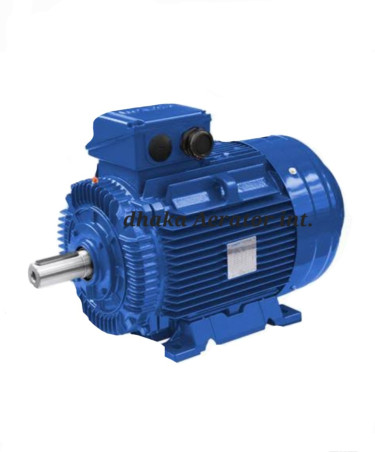 Double Speed Aerator Motor