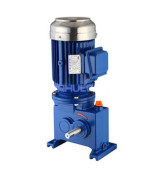 4 Paddle Wheel Motor With Gearbox