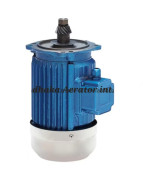 4 Paddle Wheel Aerator Motor