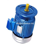 4 Paddle Wheel Aerator Motor-100 % Pure Copper Wire